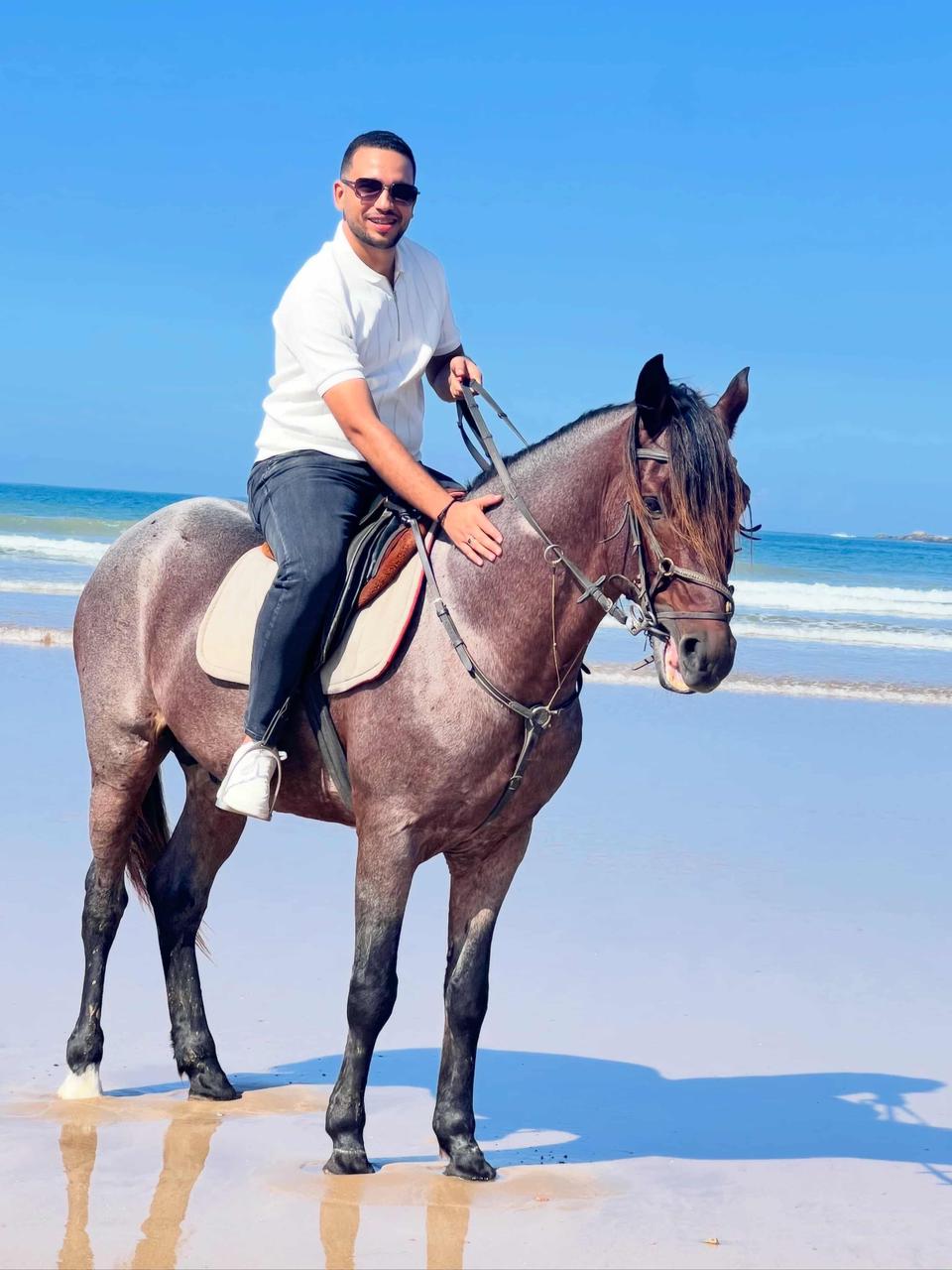 Horses Essaouira — photo 4