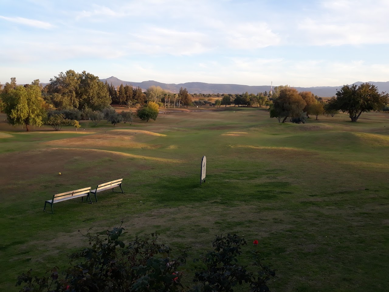 Pool of the Royal Golf Club of Fez