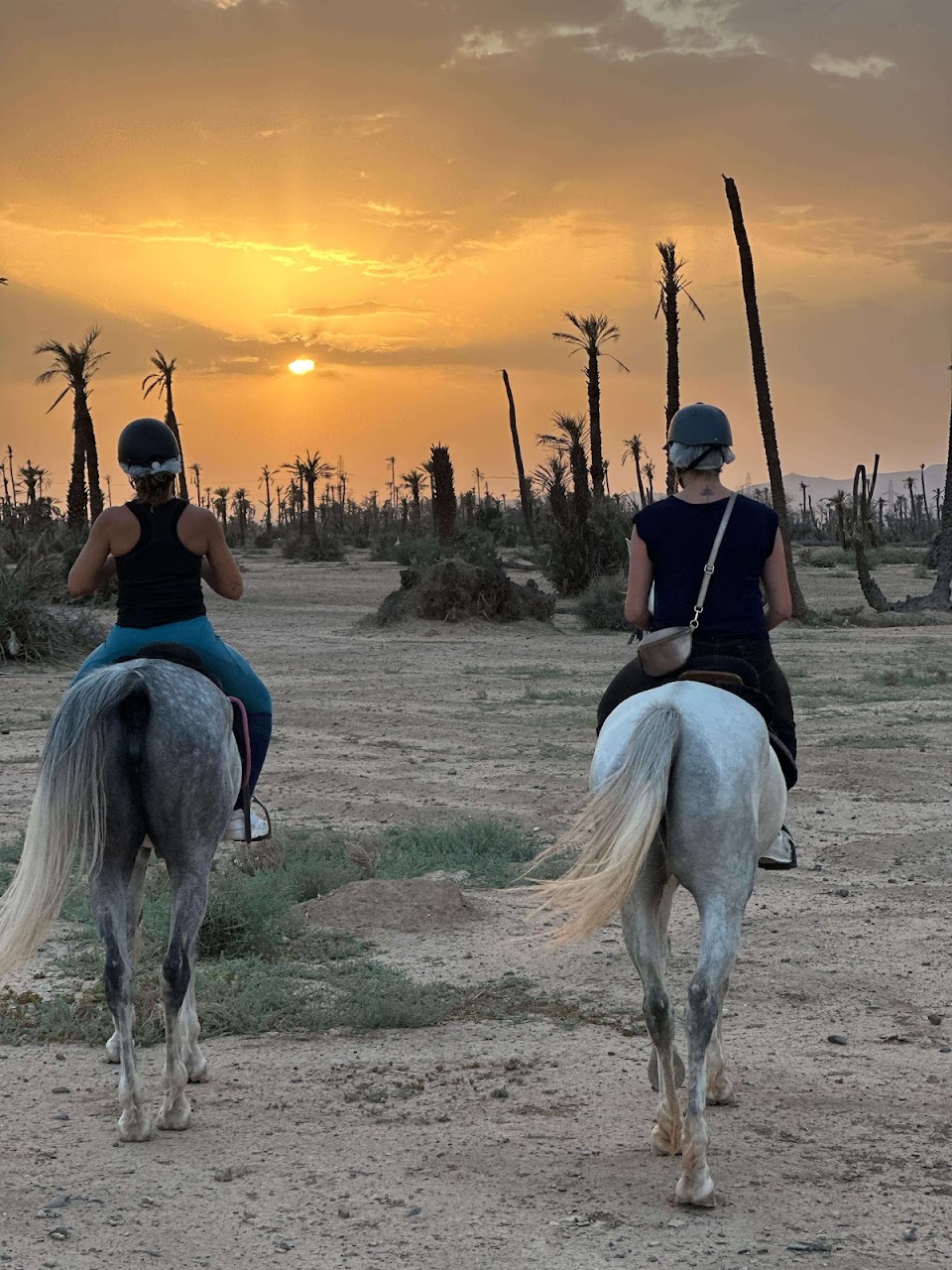 Equitation Cheval Marrakech - Horseback Riding Palmeraie