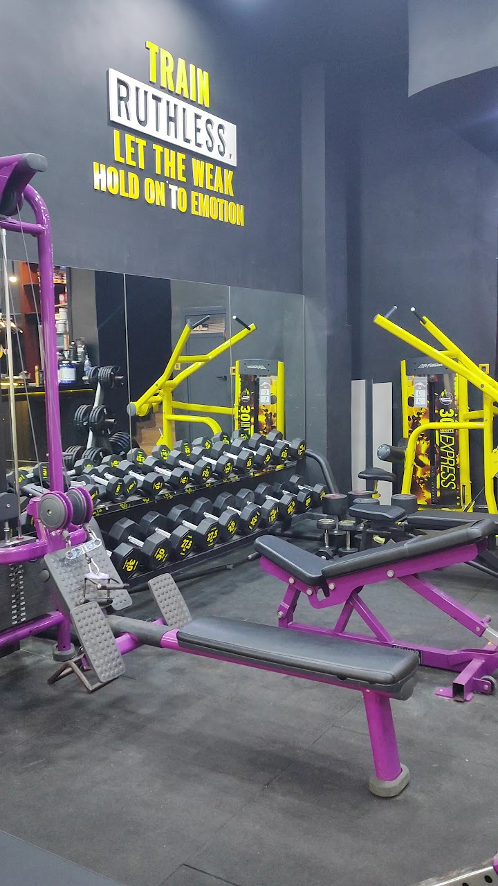 THE CALCULATOR GYM — photo 3