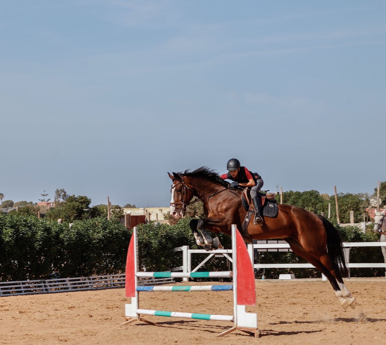 Equestrian Center Ouled Azzouz Les Ecuyers De Casablanca — photo 3