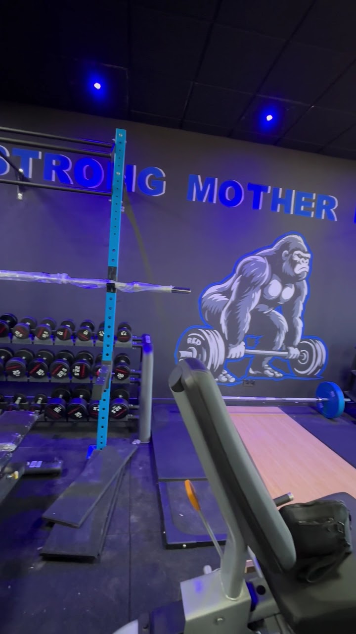 Gorilla Factory — photo 2