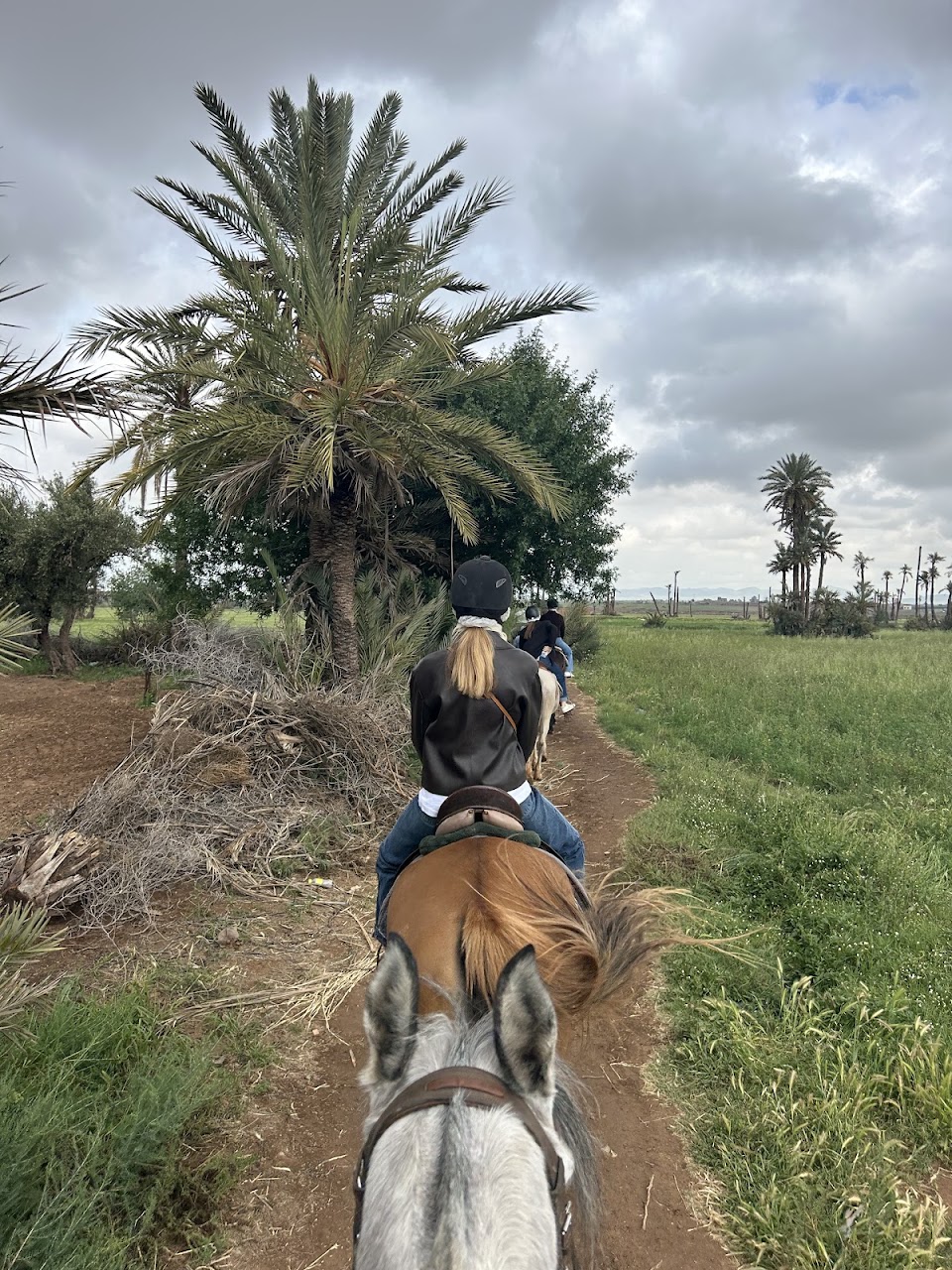 Cheval Marrakech — photo 3