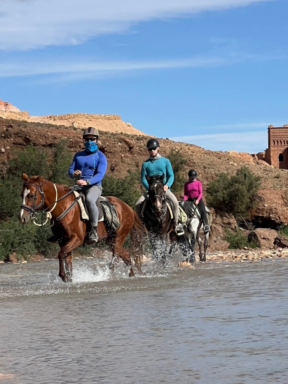 Stallion Adventures Travel — photo 4