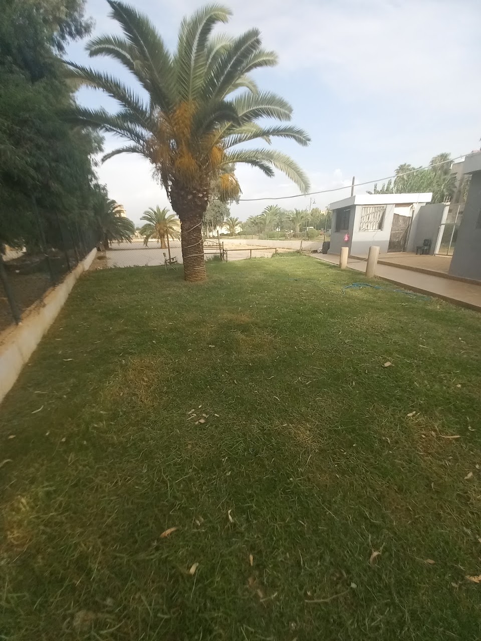 الدكارات الرياضية — photo 3