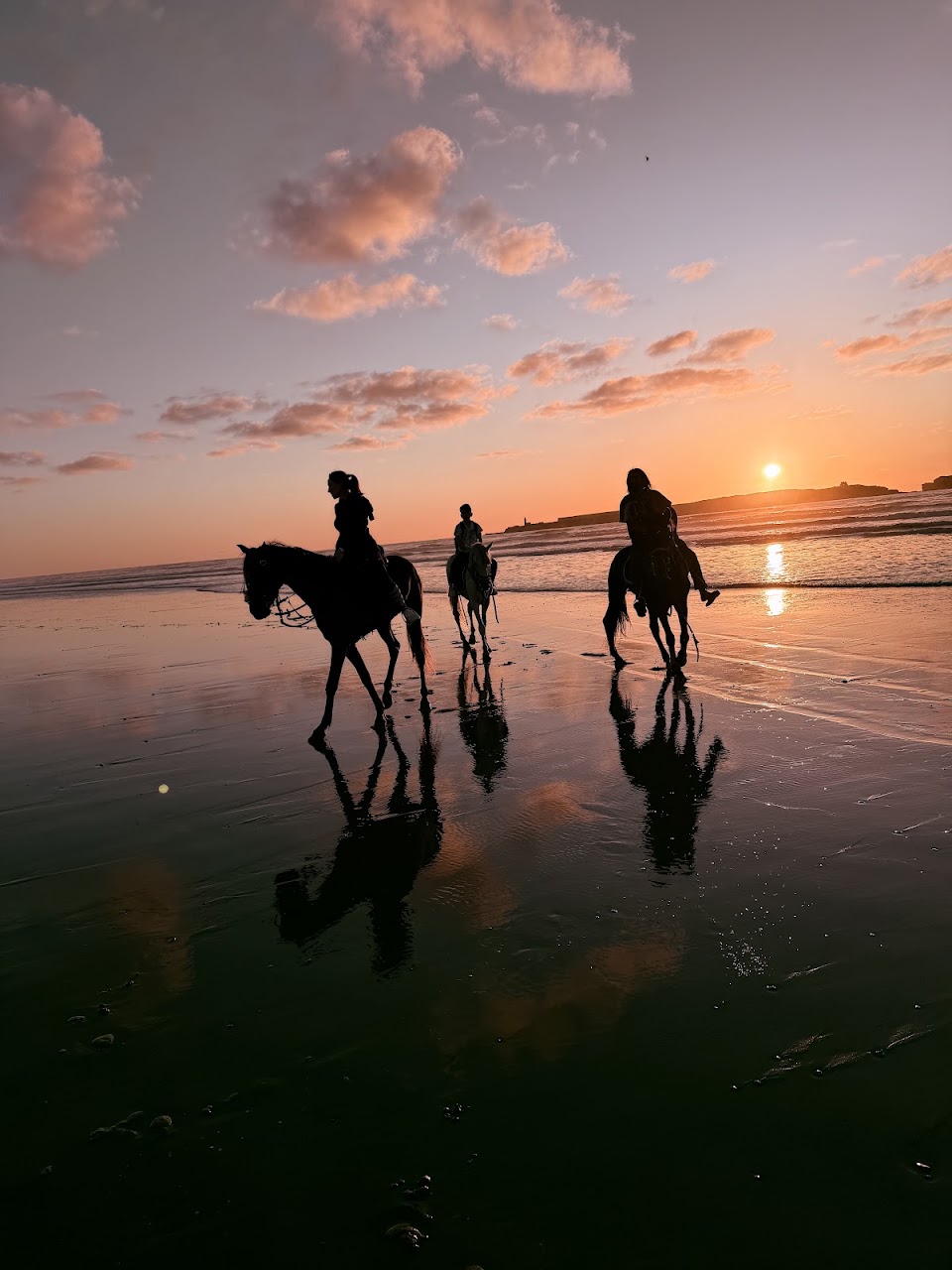 Windhorses of Essaouira — photo 2