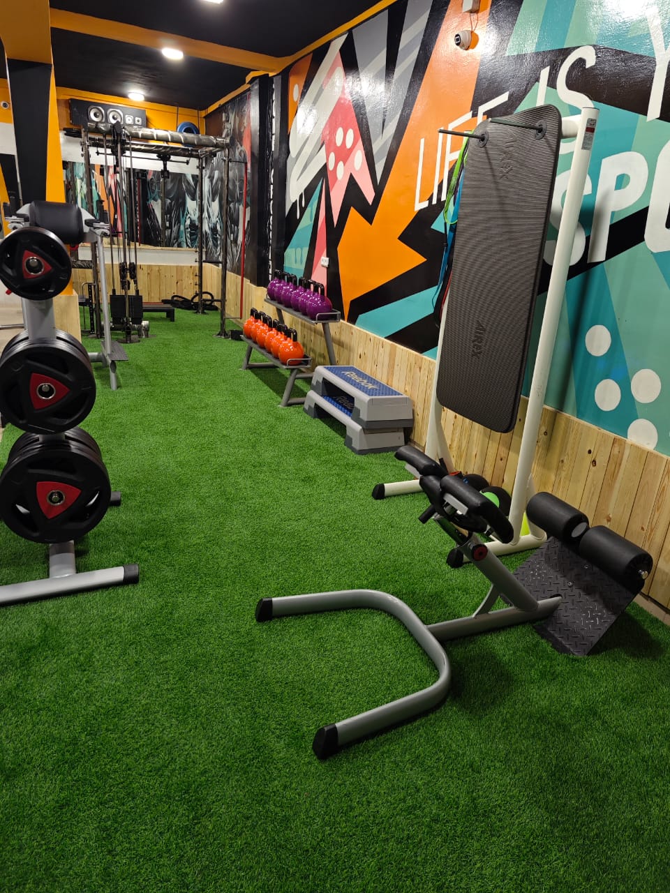 Salle PRO GYM 2 — photo 4