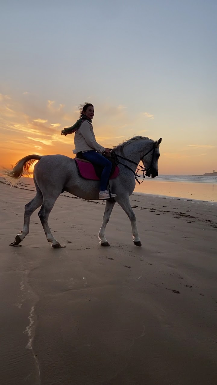 Mohammed - Simo • Horseriding Essaouira