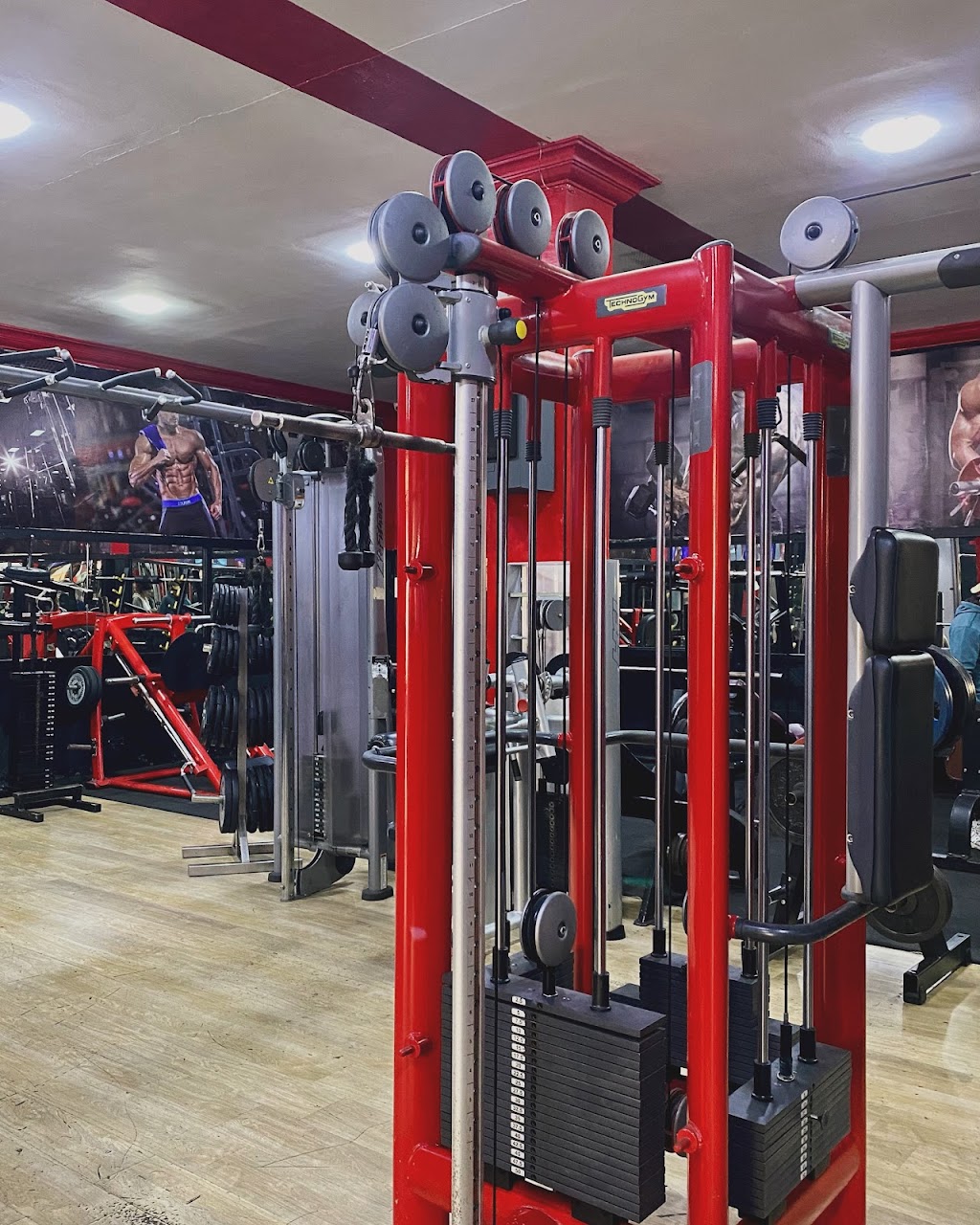 Adam Gym — photo 3