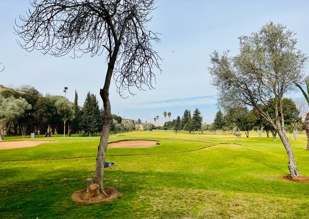 Royal Golf de Meknes — photo 3
