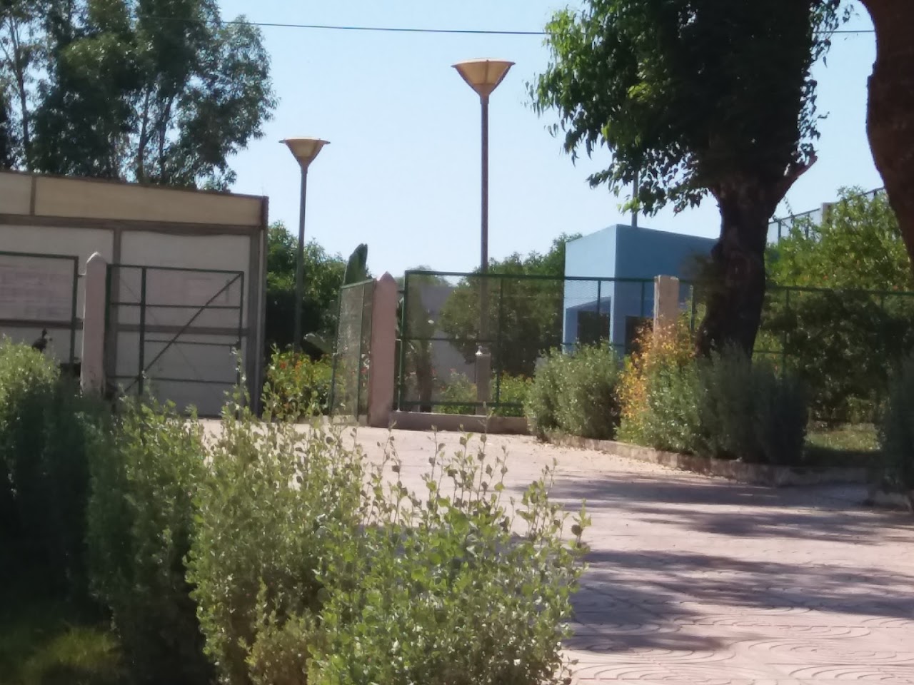 Club de Natation OCS — photo 3